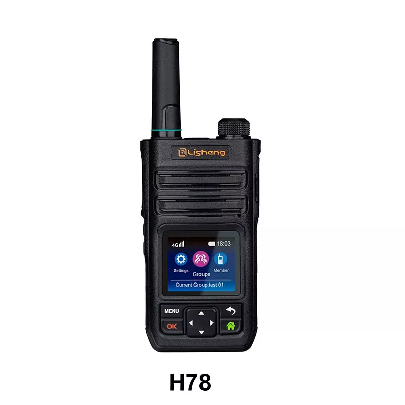 Roip -radio IP: n yli